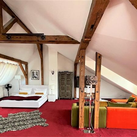 City Penthouse Mit Dachterrasse Fryburg Bryzgowijski Zewnętrze zdjęcie