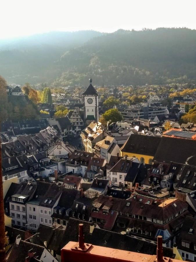 City Penthouse Mit Dachterrasse Fryburg Bryzgowijski Zewnętrze zdjęcie