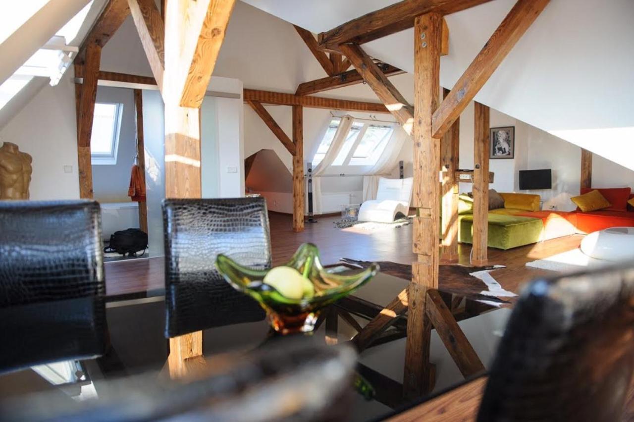 City Penthouse Mit Dachterrasse Fryburg Bryzgowijski Zewnętrze zdjęcie