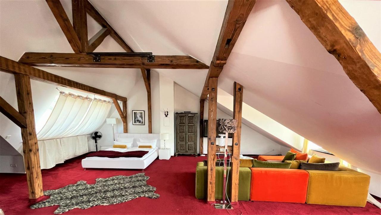 City Penthouse Mit Dachterrasse Fryburg Bryzgowijski Zewnętrze zdjęcie