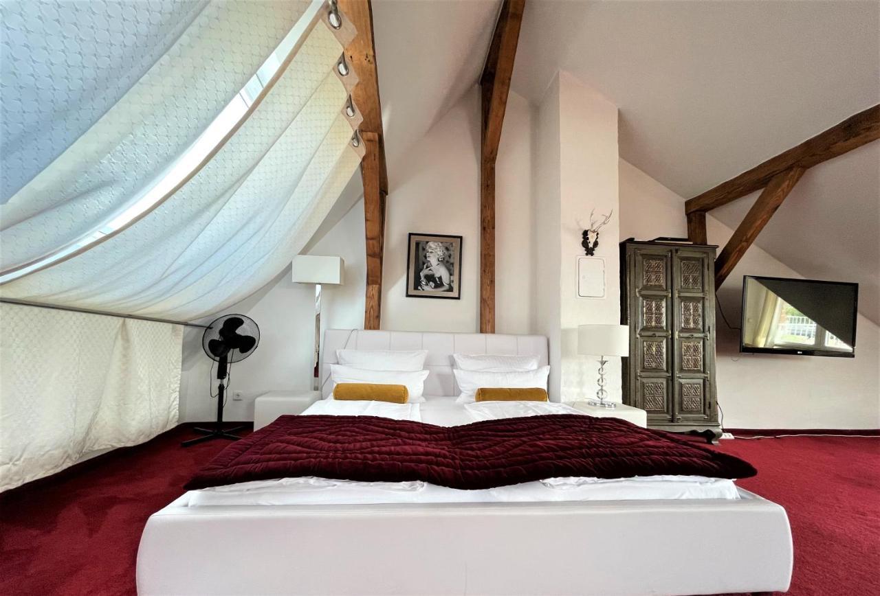 City Penthouse Mit Dachterrasse Fryburg Bryzgowijski Zewnętrze zdjęcie